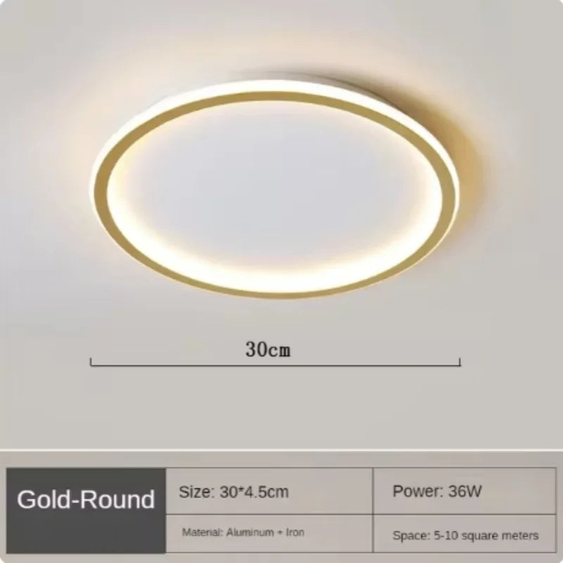 Nordic Minimalist Circular LED Ceiling Light with Remote Control for Versatile Home Spaces