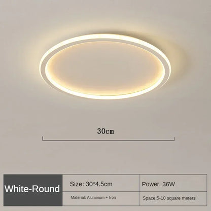 Nordic Minimalist Circular LED Ceiling Light with Remote Control for Versatile Home Spaces