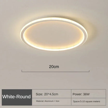 Nordic Minimalist Circular LED Ceiling Light with Remote Control for Versatile Home Spaces